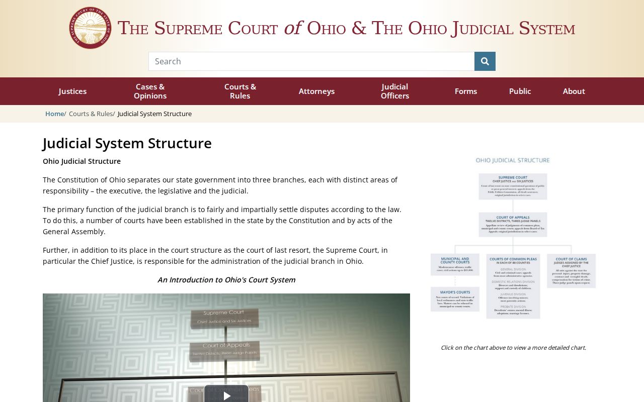 Clinton County court docket source explaining Ohio judicial system structure