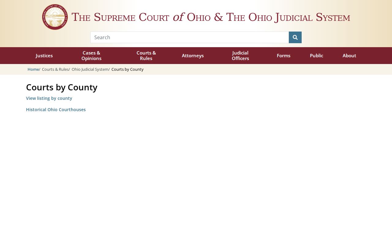 Clinton County court docket source for Ohio trial court and local rules access